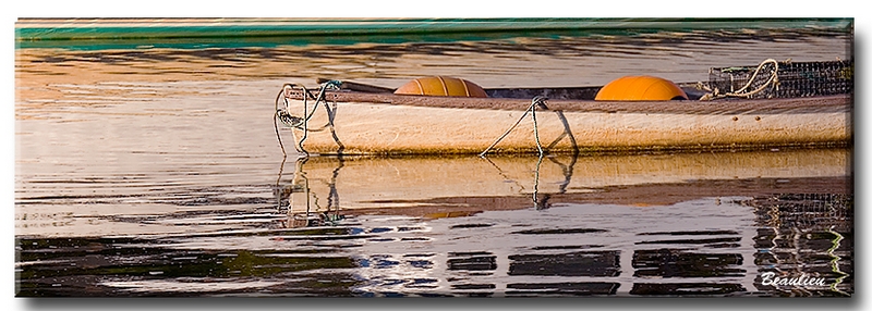 gallerie pbase_004.jpg