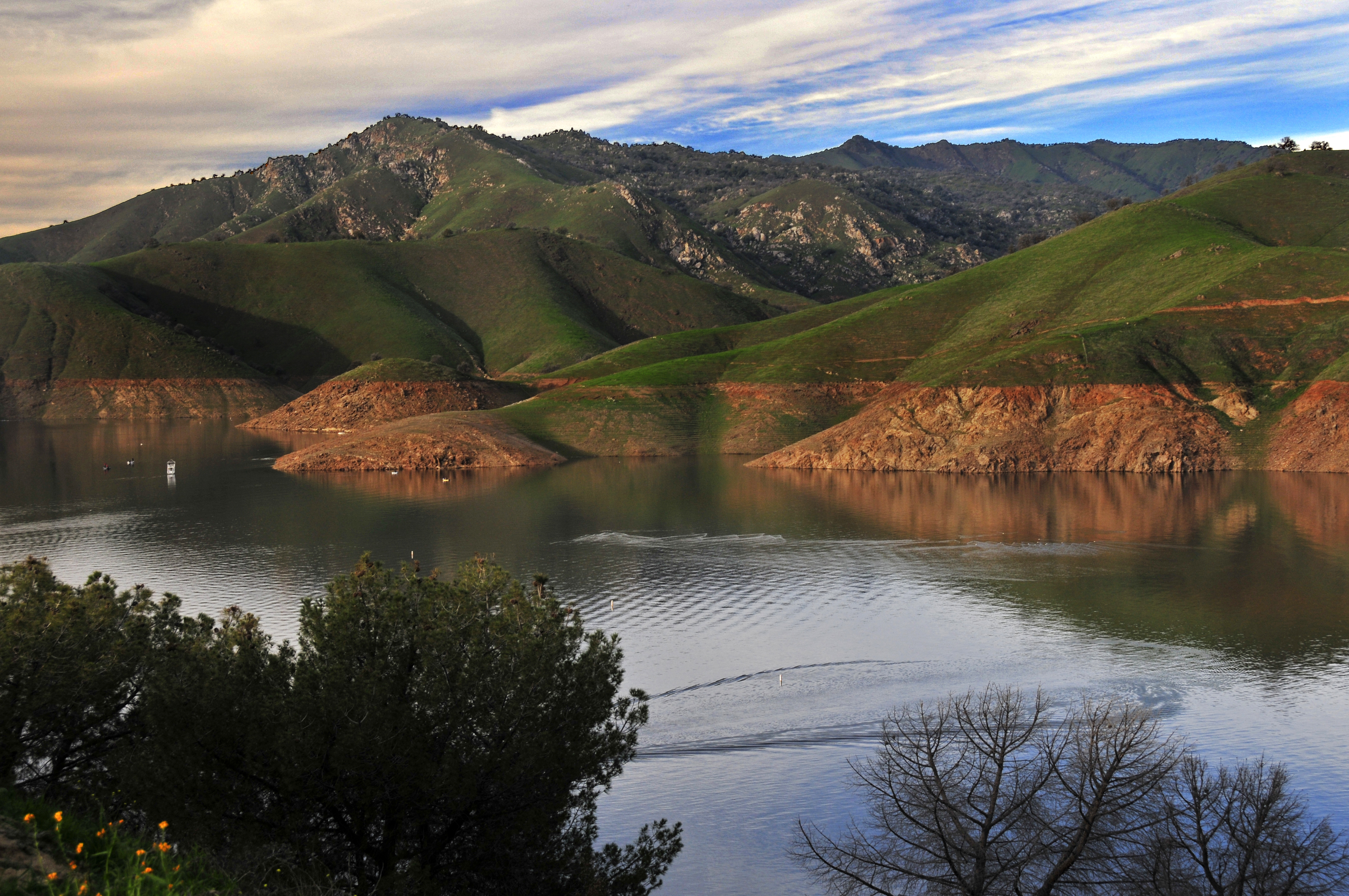 California 5