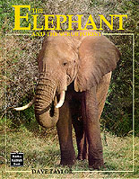 The Elephant and the Scrub Forest
