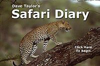 Safari Diary