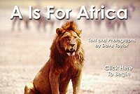 A is for Africa