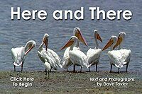 Here and There
