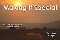 Making It Special