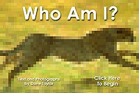 Who Am I?