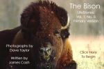 The Bison