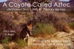 A Coyote Called Aztec