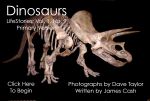 Dinosaurs