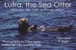 Lutra, The Sea Otter
