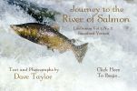Journey to the River of Salmon