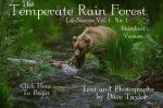 The Temperate Rain Forest