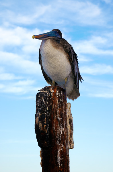 IMG_4086.jpg