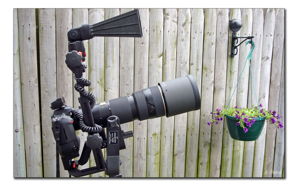  D200 w/grip, 200-400 f4, sb800, Stroboframe Pro RL,Giottos MT9180, Manfrotto 3421