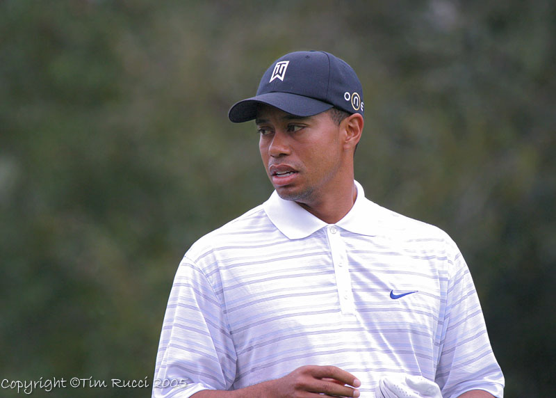 25491c - Tiger Woods
