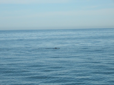 DSCN0666.JPG