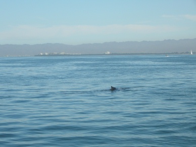 DSCN0670.JPG