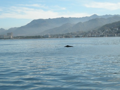 DSCN0672.JPG