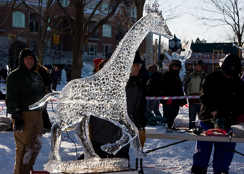 Plymouth Ice Festival