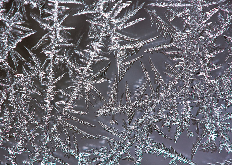 Frosted Window