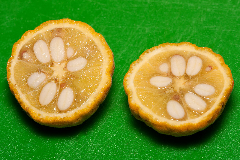Wild lemons