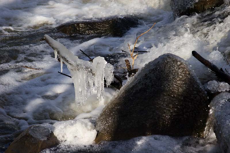 Iced water...