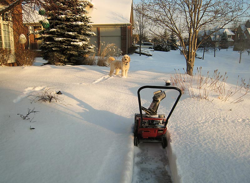 Teddy  & snowblower