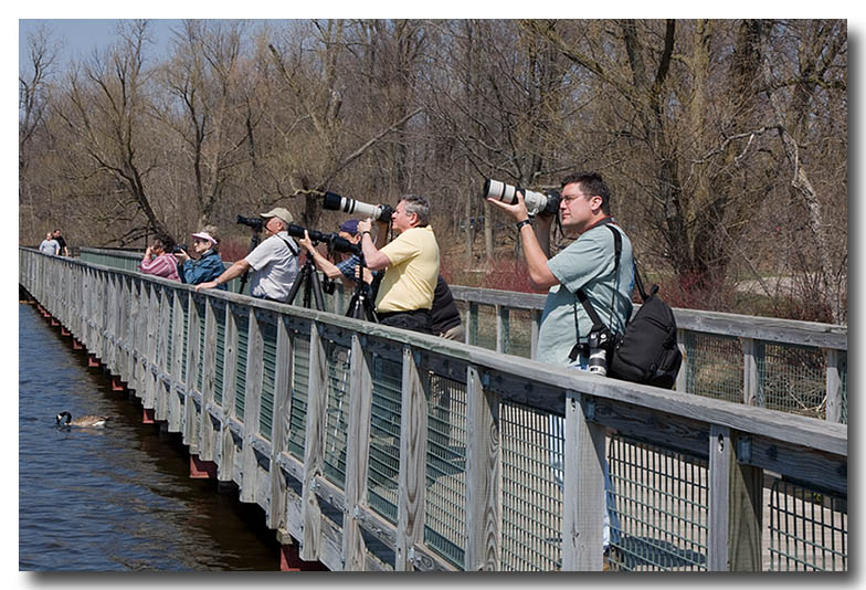 Pbasers on the boardwalk