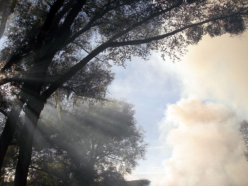 BrushFire07.jpg