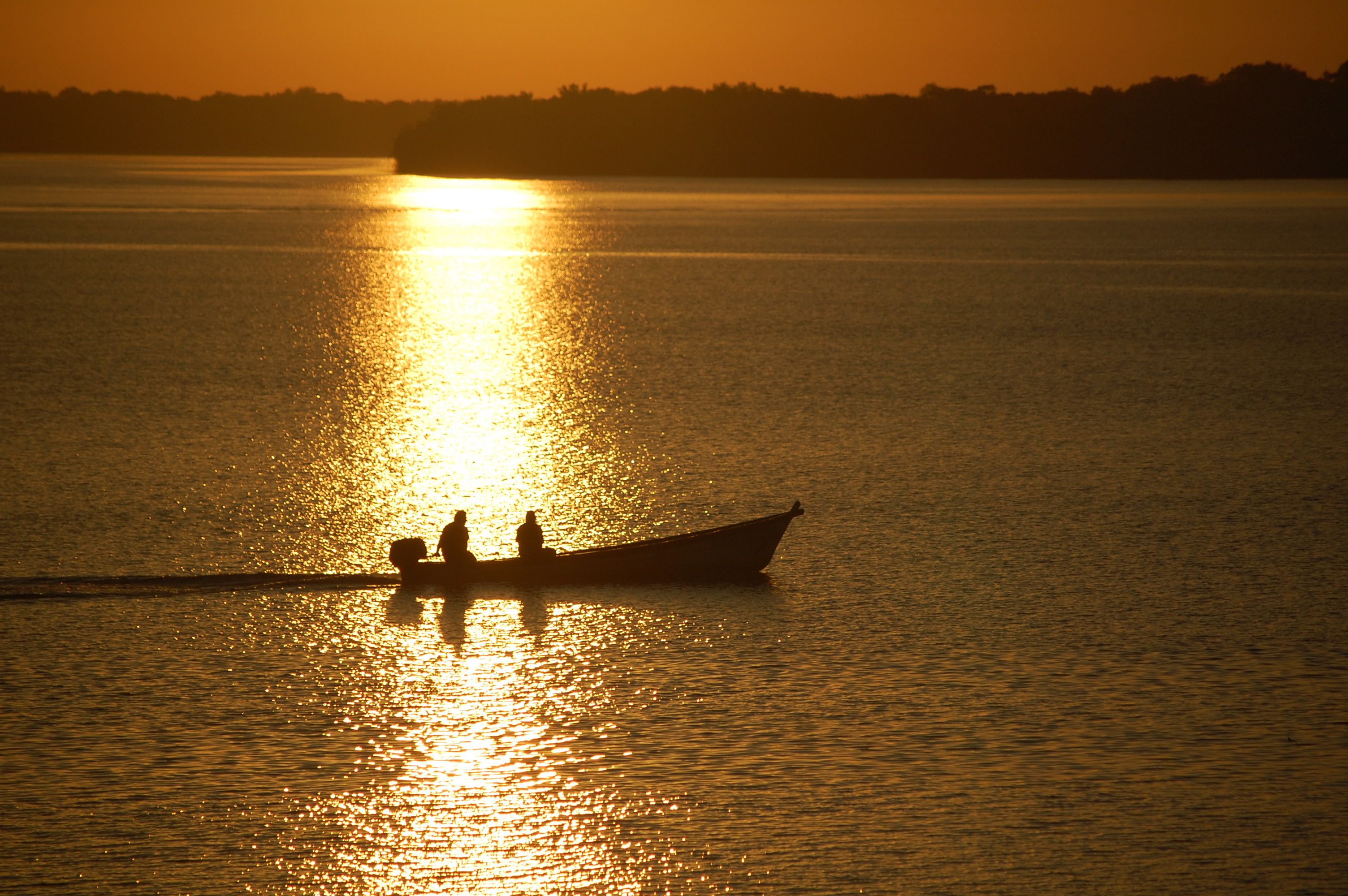 morning boat at puesta del sol.jpg