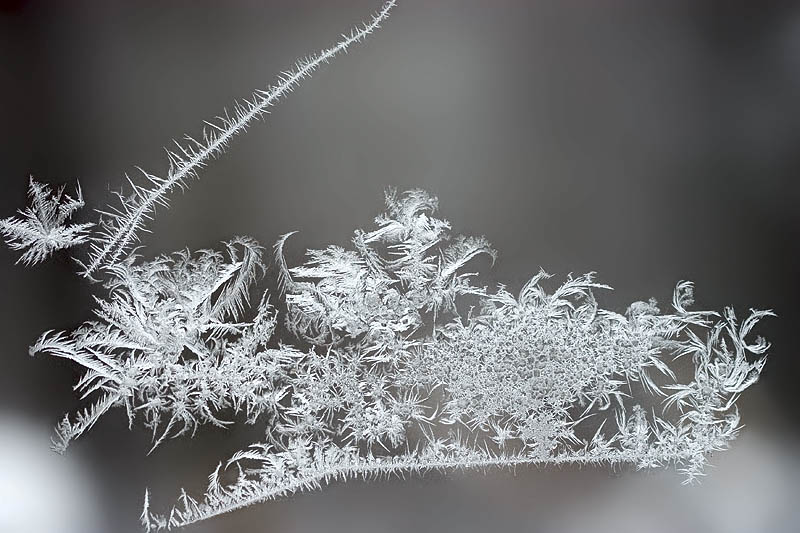 Window Ice