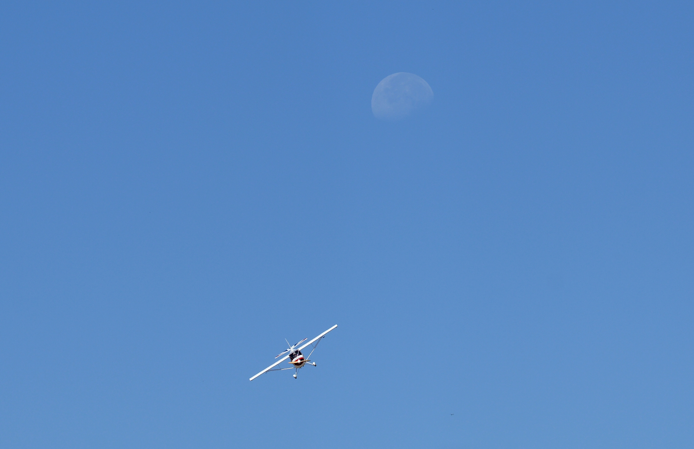 Aerobat with the moon in the background