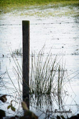 DSC_6264em.jpg