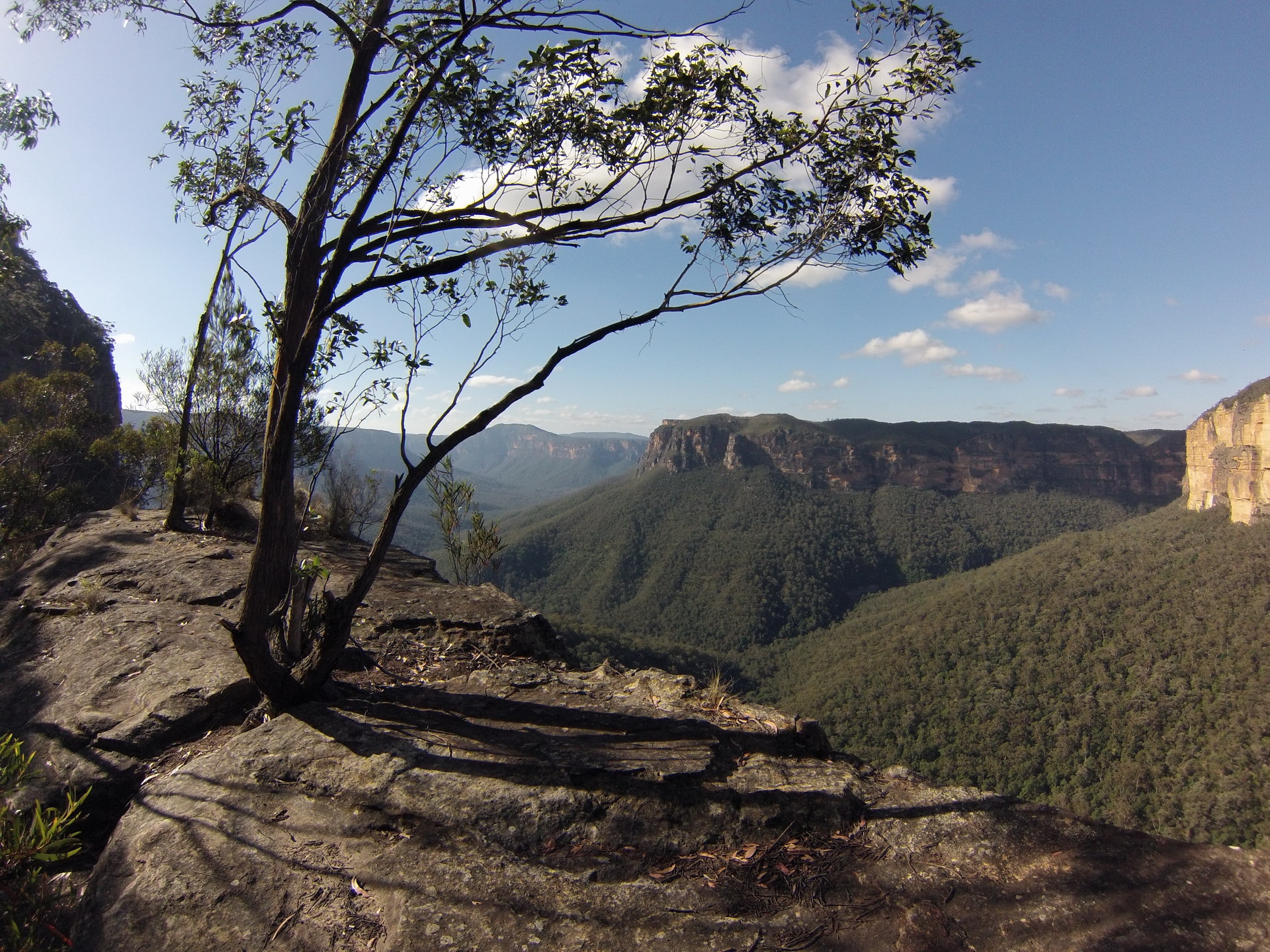 Grose Valley -Near Evans lookout, Blue Mountains