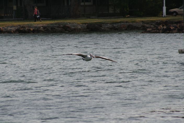 IMG_3441.JPG
