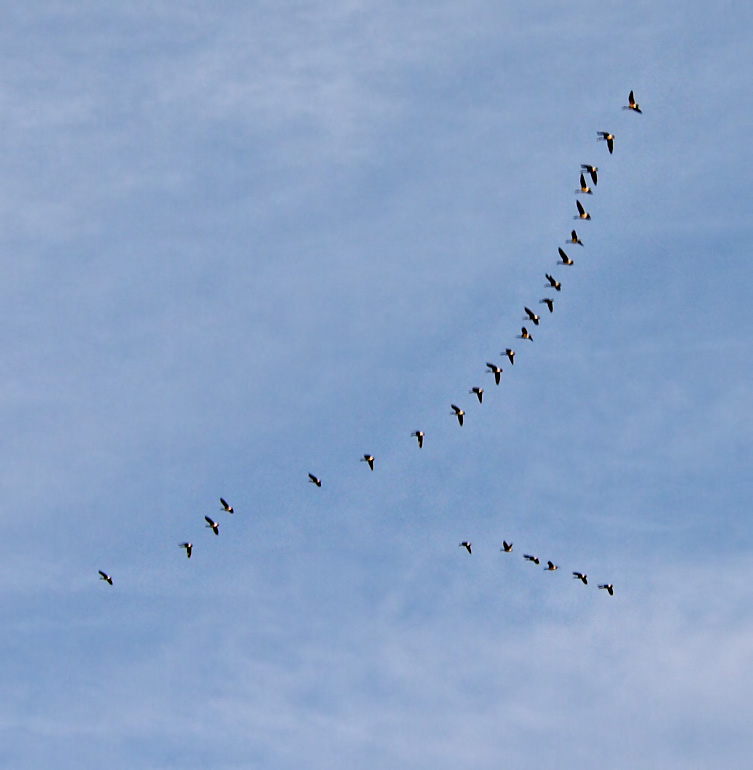 In formation