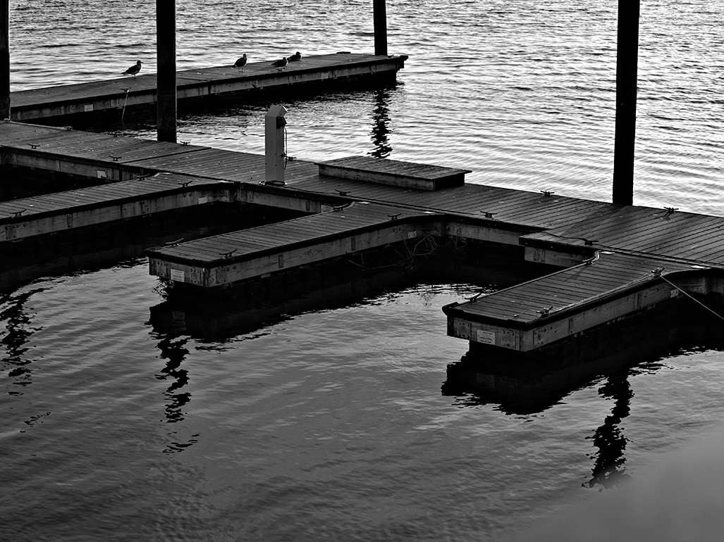 2013 January Challenge B&W #16