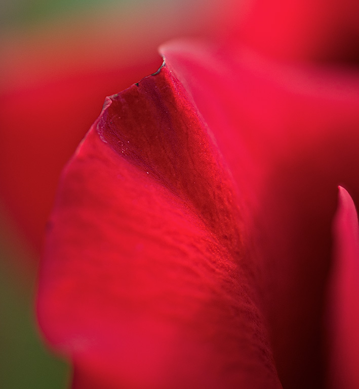 Beautifully imperfect #2