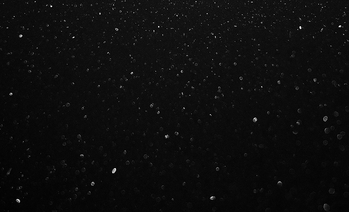 Window to a universe.