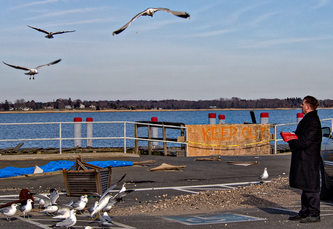 Feeding the birds.