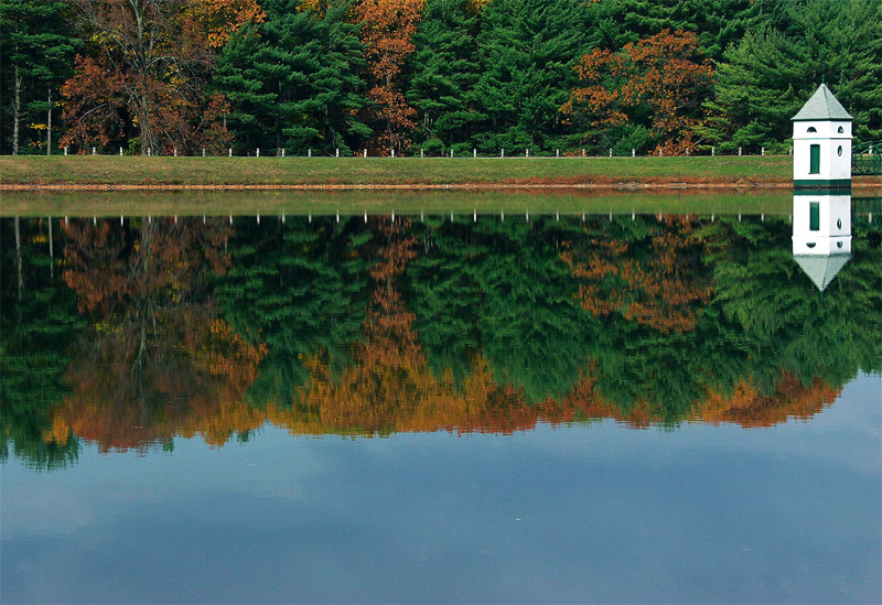 Fall Color