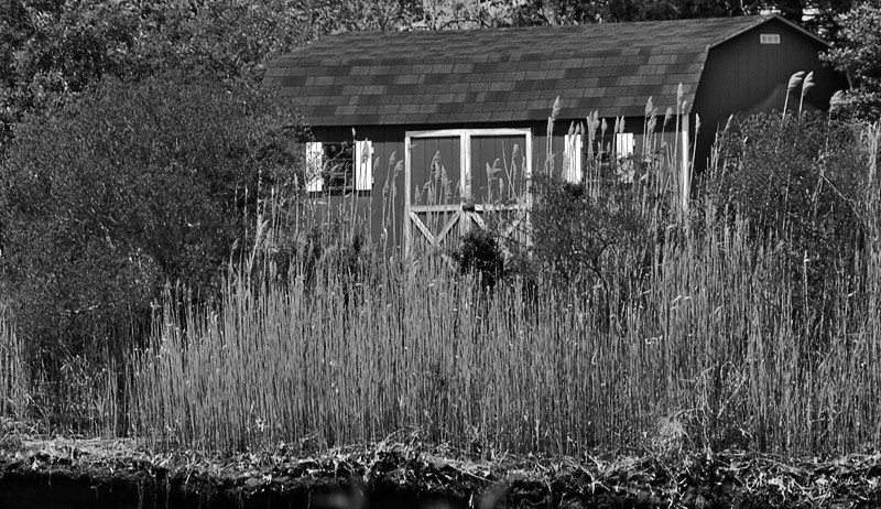 Shed