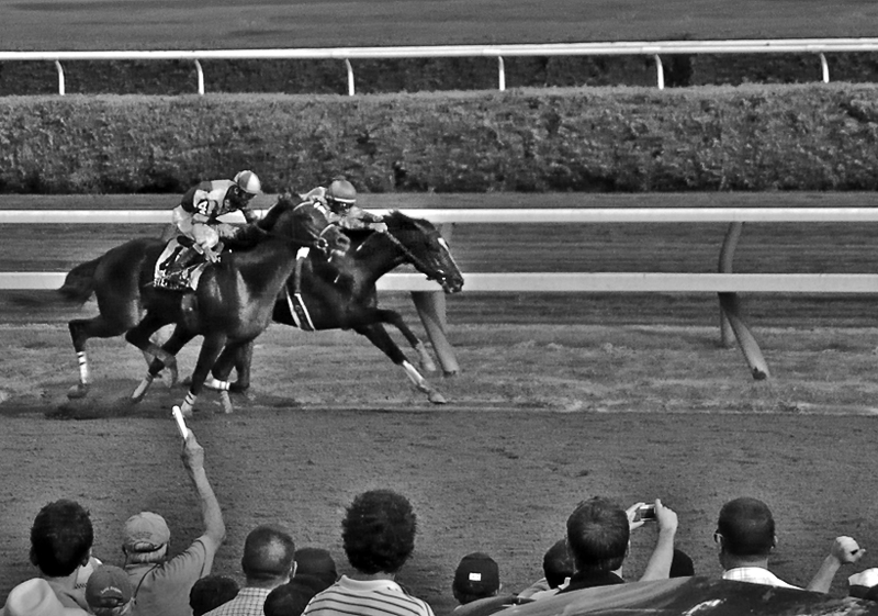 Street Sense and Grasshopper