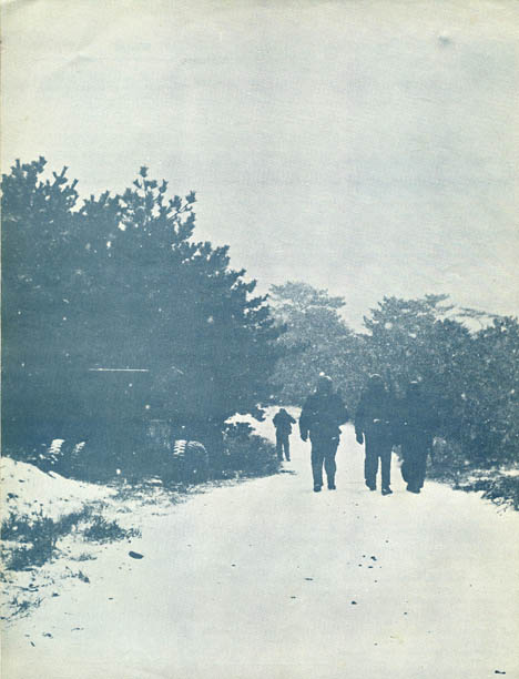 torii teller 63