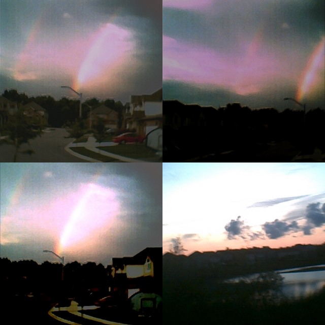 collage.jpg