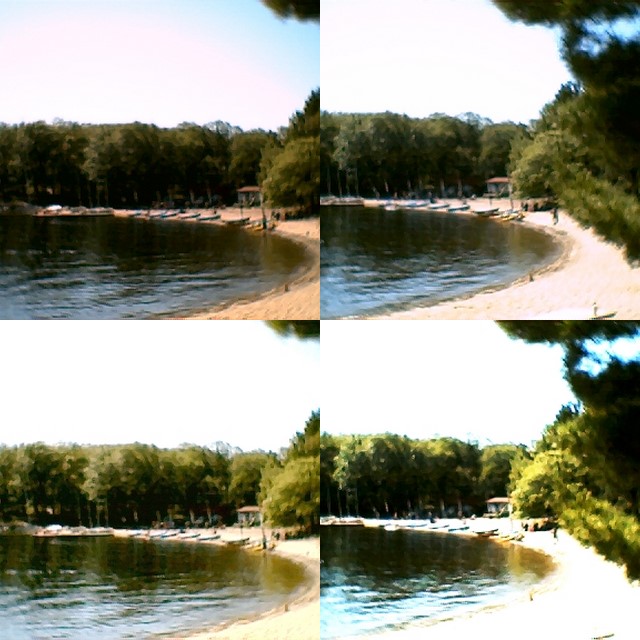 collage5.jpg