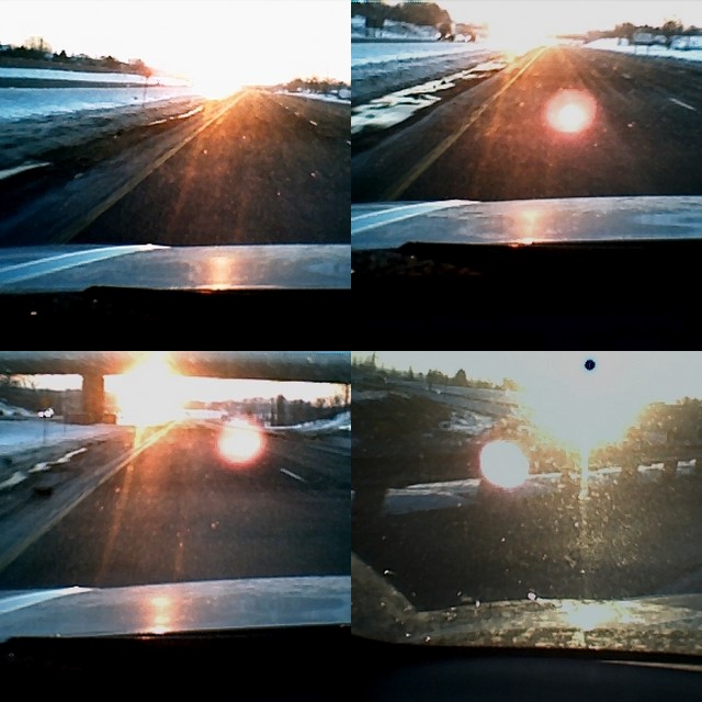 collage7.jpg