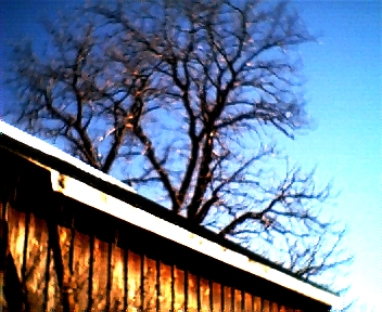 010.jpg