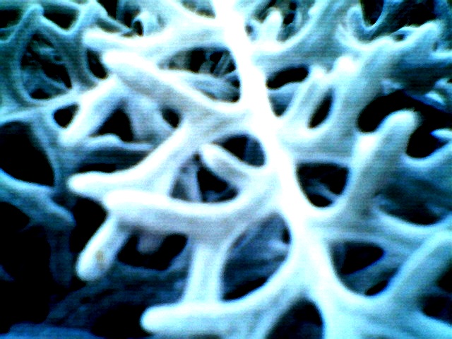 Photoclix006.jpg