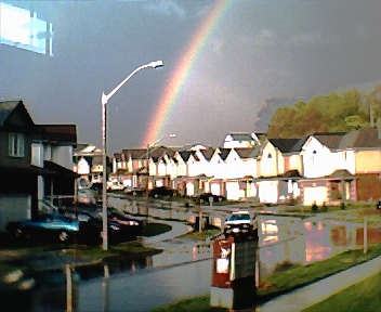 530.jpg