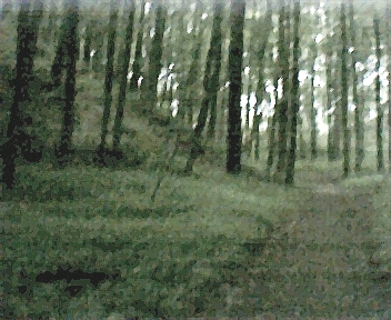 637.jpg