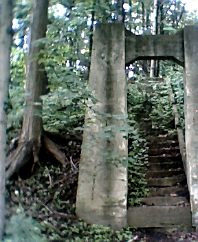 715.jpg